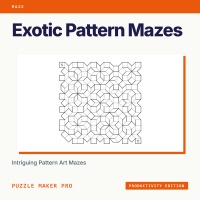 Exotic Pattern Mazes Productivity Interactive