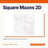 Mazes 2D Squares Creative Interactive