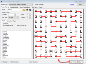 Zig Zag Word Search Overview Solution 300x224 